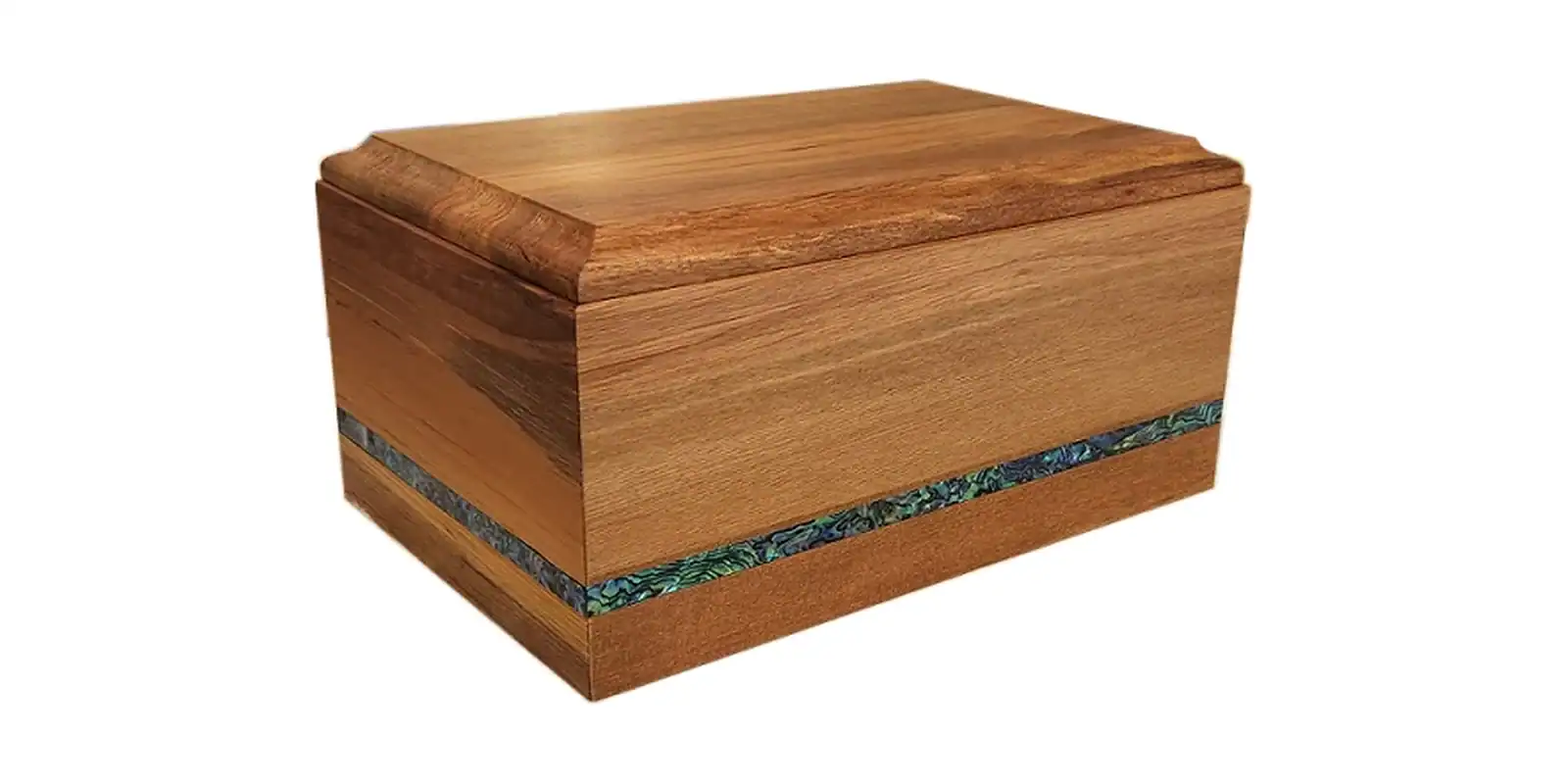 Clarence (Paua Trim)