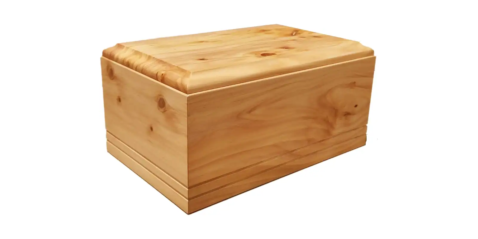Macrocarpa Oiled